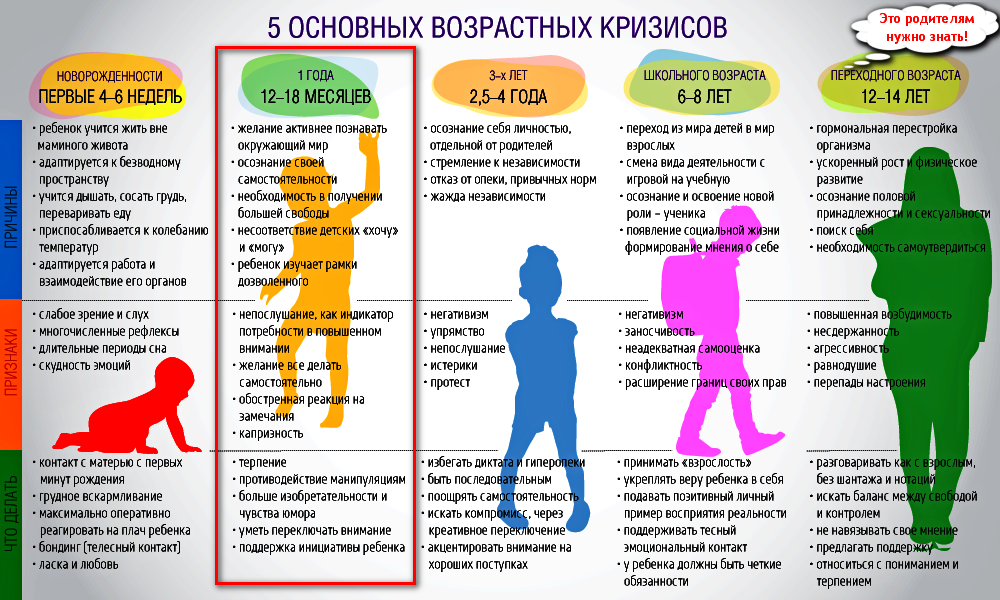 Зожник |   все возрастные кризисы жизни: от 1 до 40-60 лет