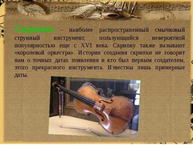 Сообщение о скрипке по музыке. История создания скрипки. Доклад о скрипке. История происхождения скрипки. Интересные скрипки.