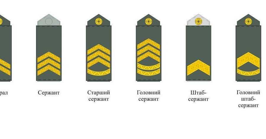Прапорщик в американской армии. соотношение российских и американских званий. рядовые и сержанты