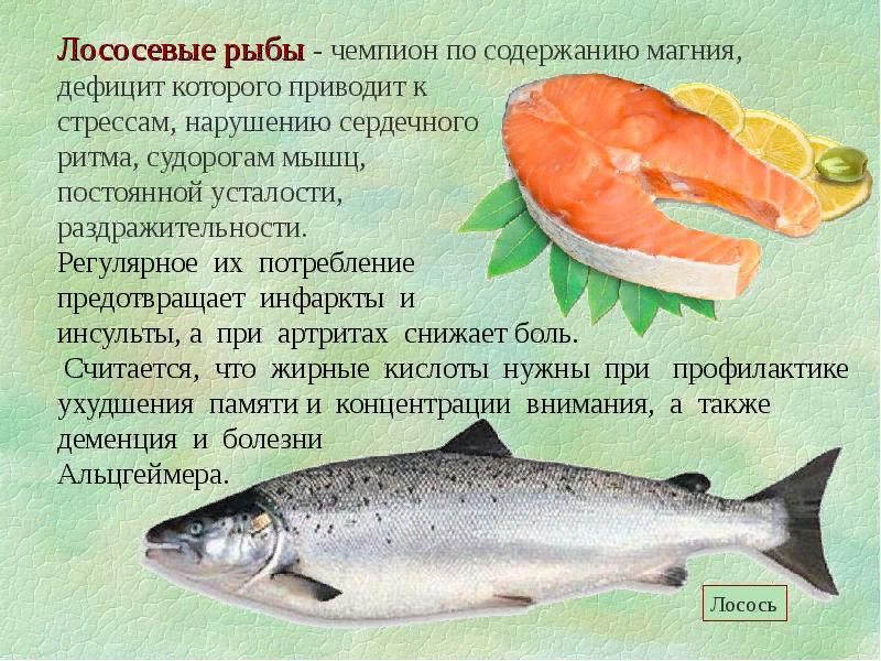 Рыба пангасиус: среда обитания, полезные свойства и вред, способы приготовления и советы по выбору