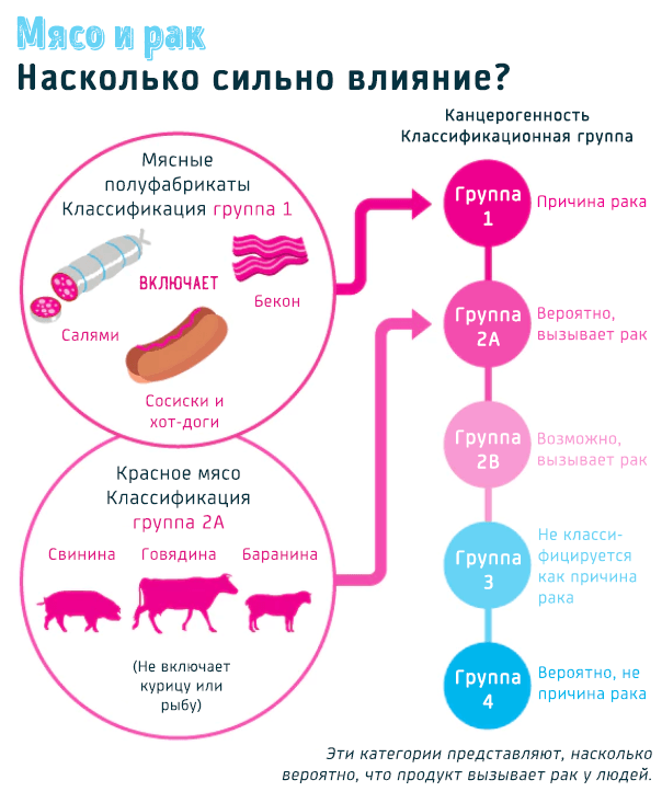 Почему есть много мяса вредно: особенности и подробный обзор