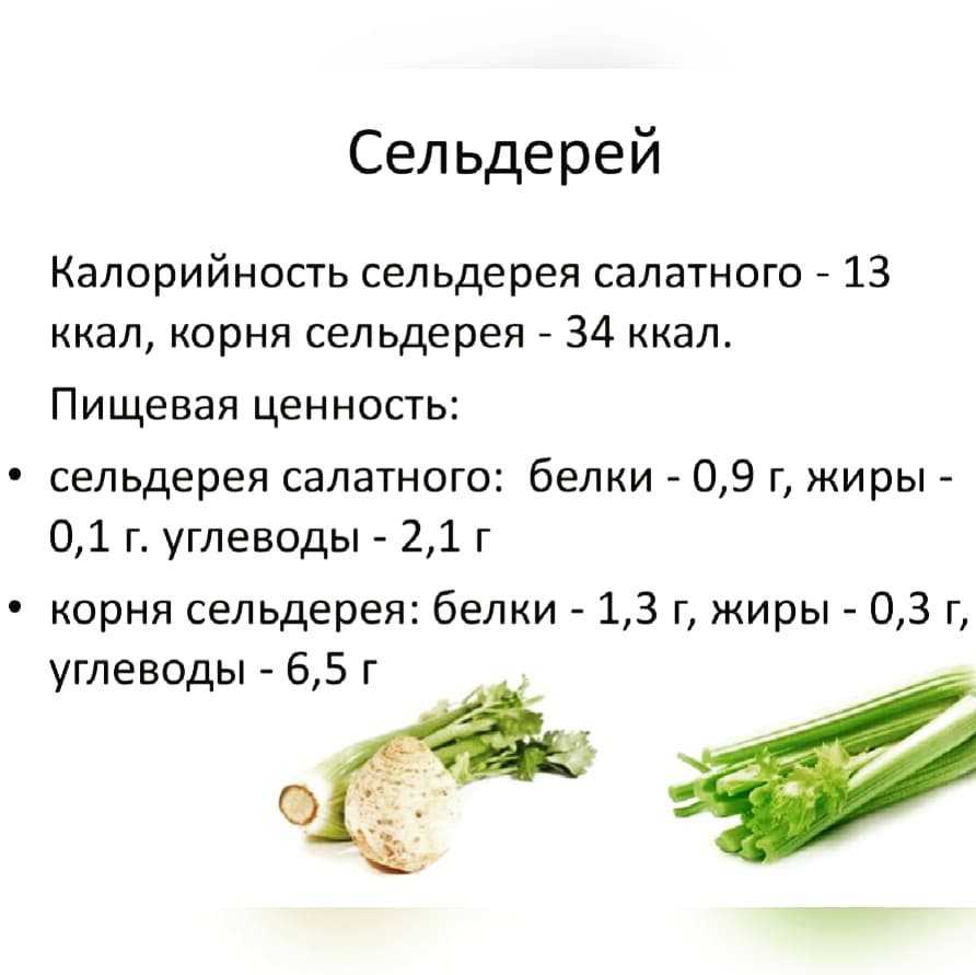 Сельдерей - полезные свойства, калорийность, как вкусно приготовить