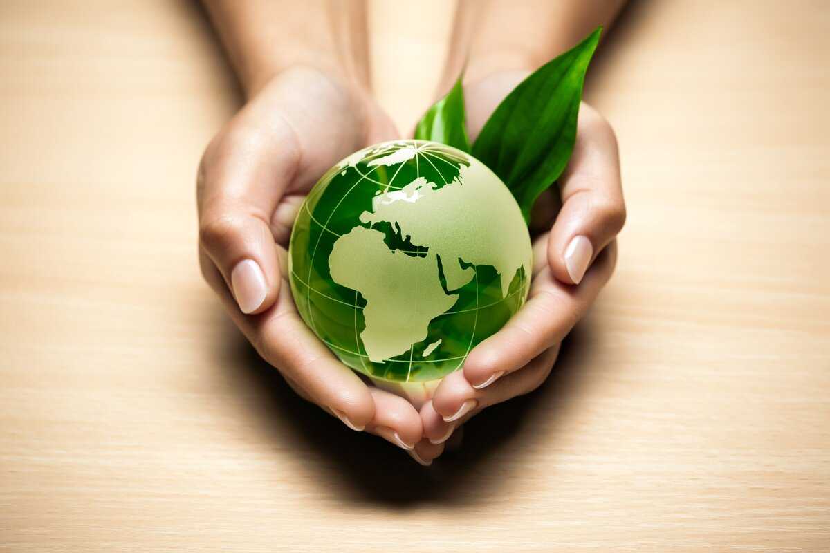 Эко-френдли: значение термина, как стать более экологичным