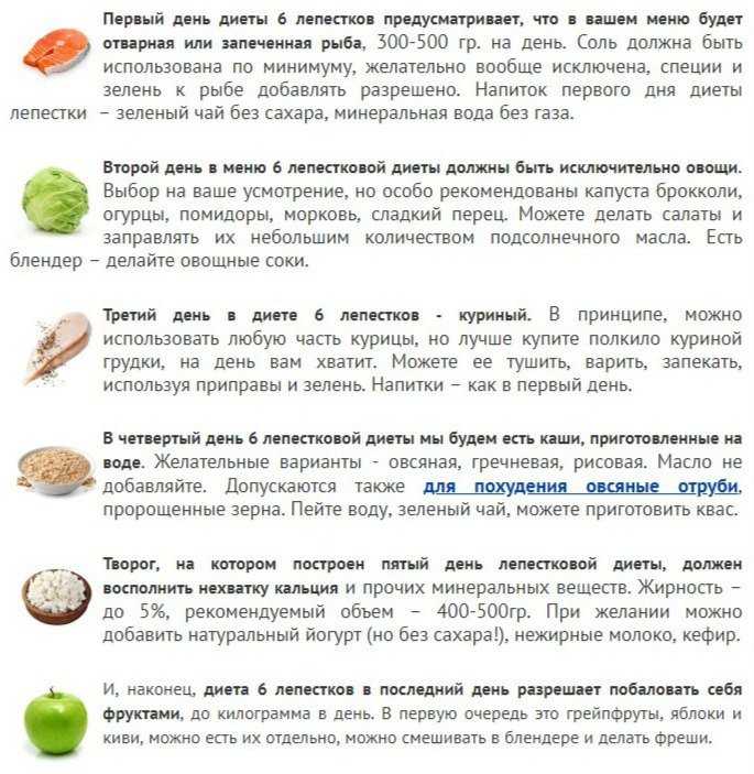 Подробное описание шведской диеты 6 лепестков ромашка, цветочная диета Что можно пить и есть Количество продуктов на день Рацион на неделю