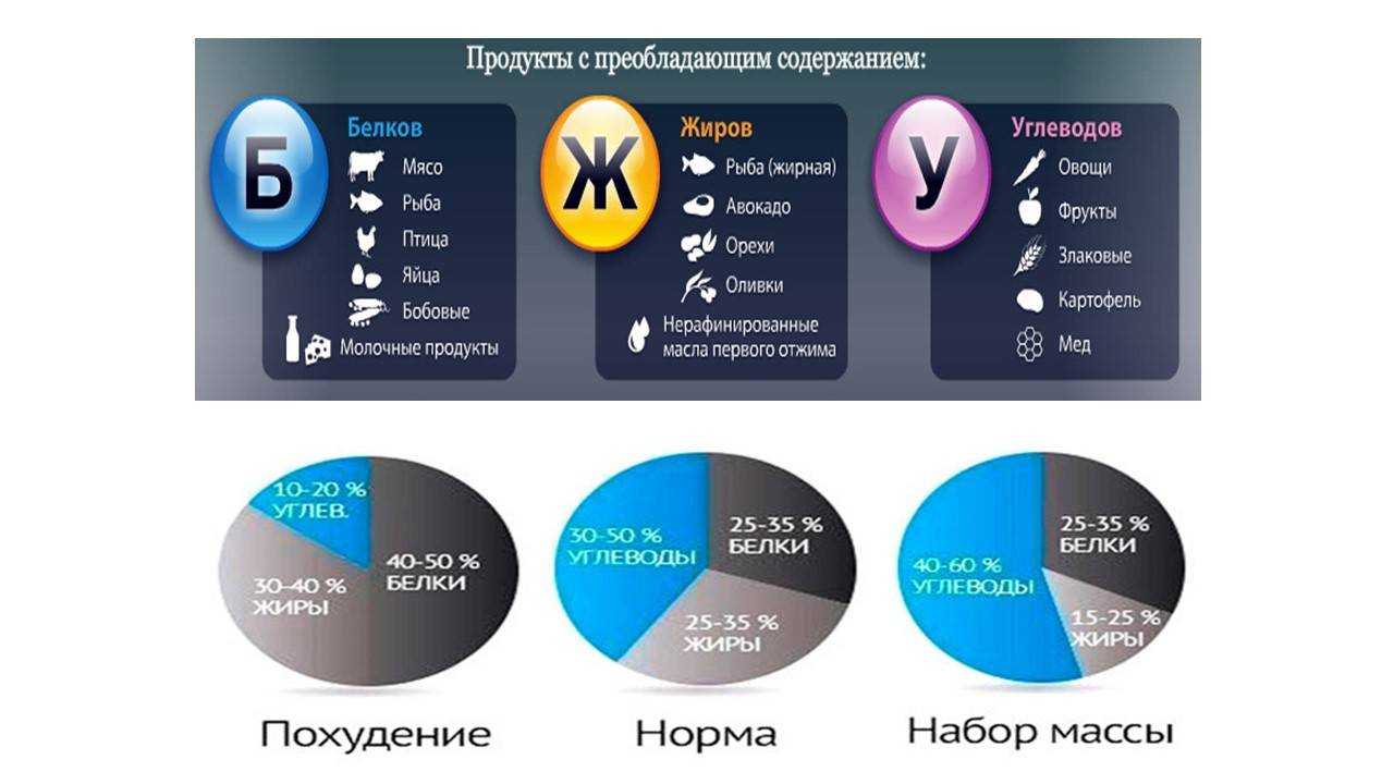 Раздельное питание для похудения - меню на неделю в таблице | balproton.ru