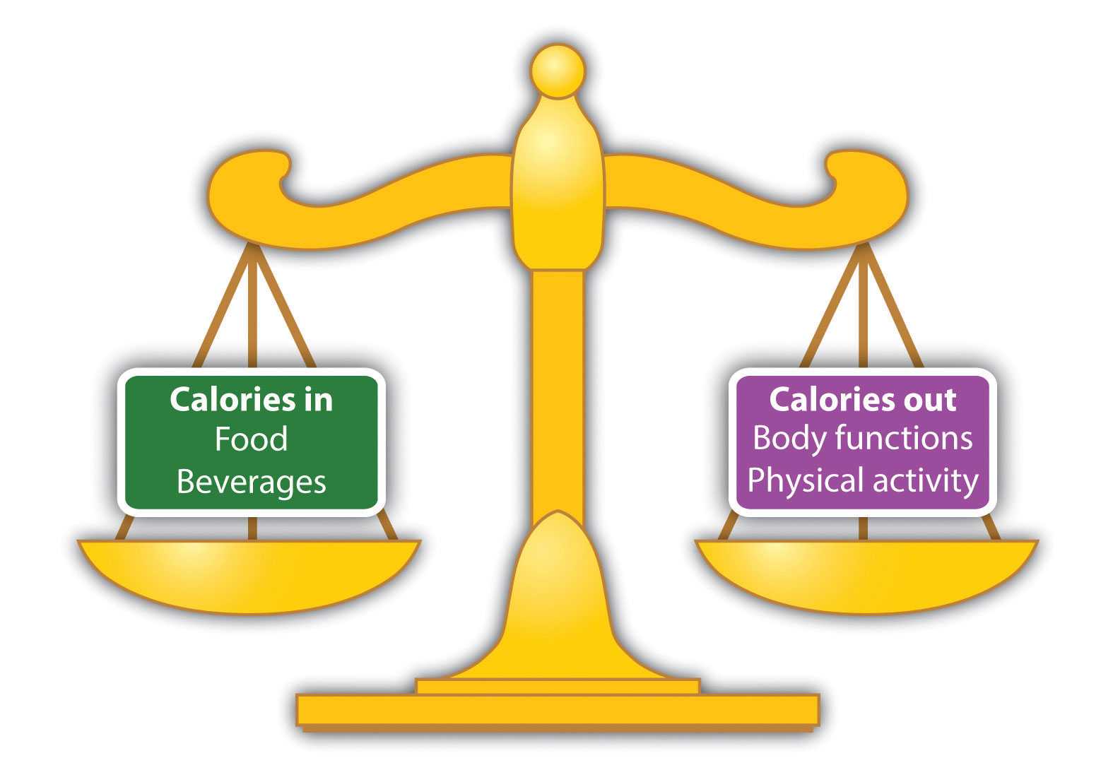 Энергетический баланс организма (калории)  |  krok8.com - фундаментальная стратегия развития