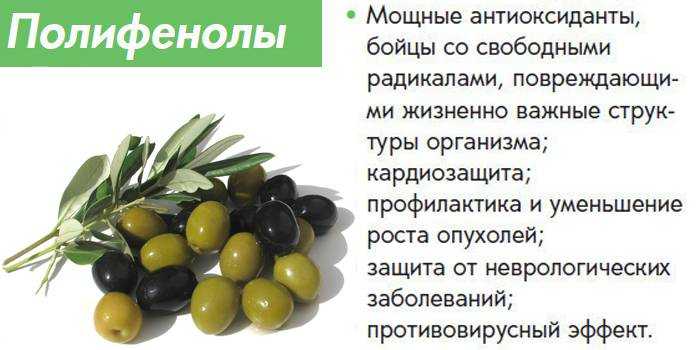сколько калорий в свежих, соленых, маринованных оливках, какова калорийность наиболее распространенных блюд