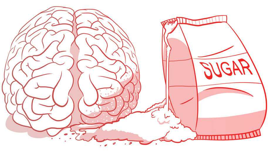 Почему мозг не может без глюкозы, и откуда ее лучше брать? — блог викиум