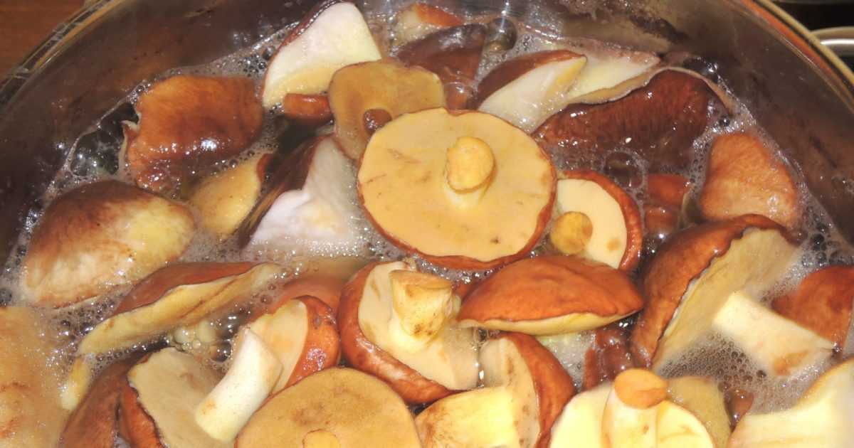 Жареные грибы маслята: лучшие рецепты с луком, картошкой, сметаной, сыром, без варки, на зиму. на каком масле жарить маслята? как и сколько варить грибы маслята перед жаркой по времени?
