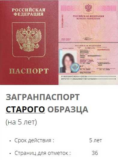 Какой в россии паспорт: всё о главном документе россиянина