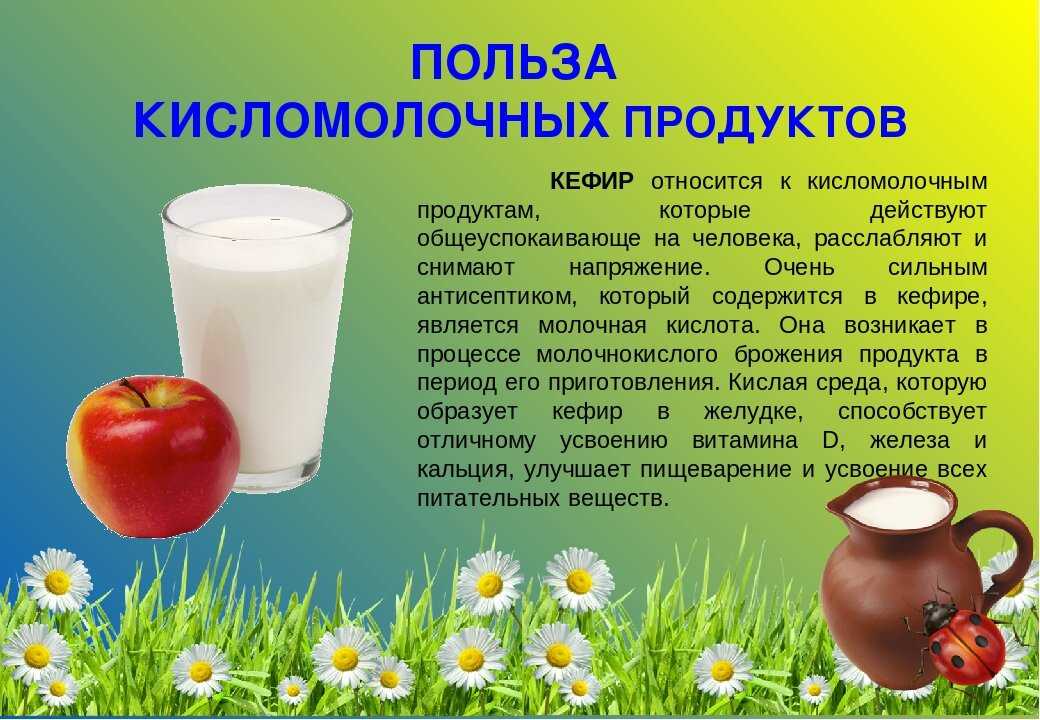 Молоко и продукты из него - в чем вред и польза - dietbest.ru