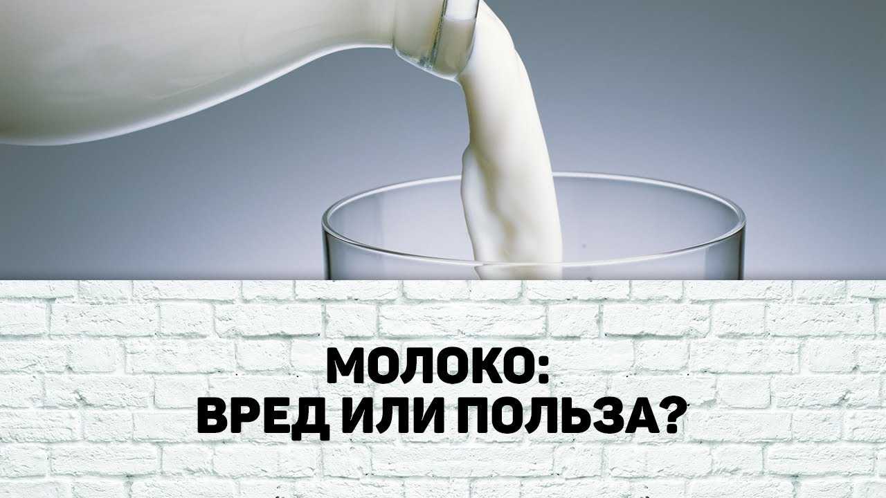 Вред молока и молочных продуктов для человека – 6 фактов об их влиянии на здоровье организма женщин и мужчин