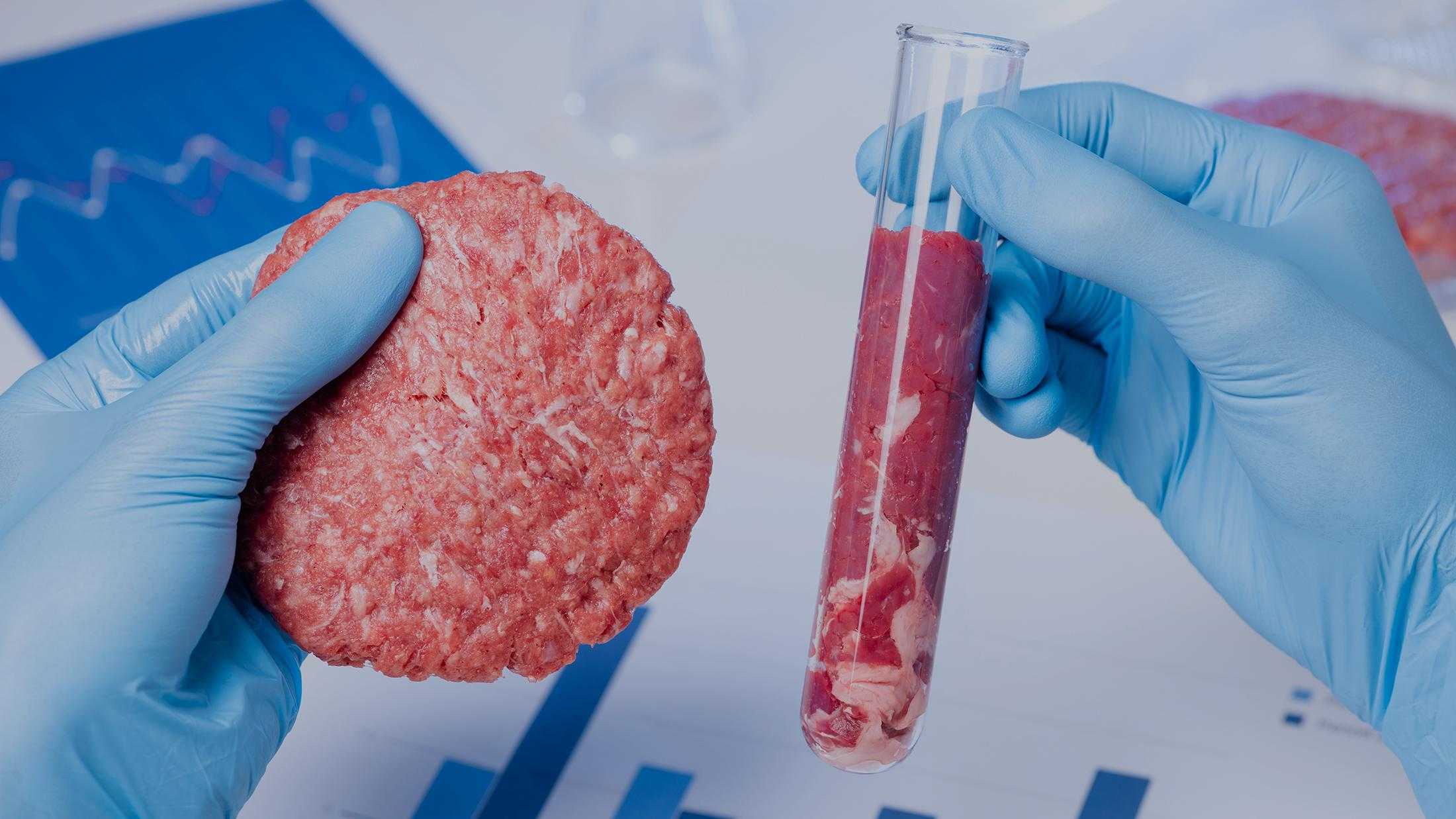 Beyond meat против impossible foods: американские производители завоевывают европу