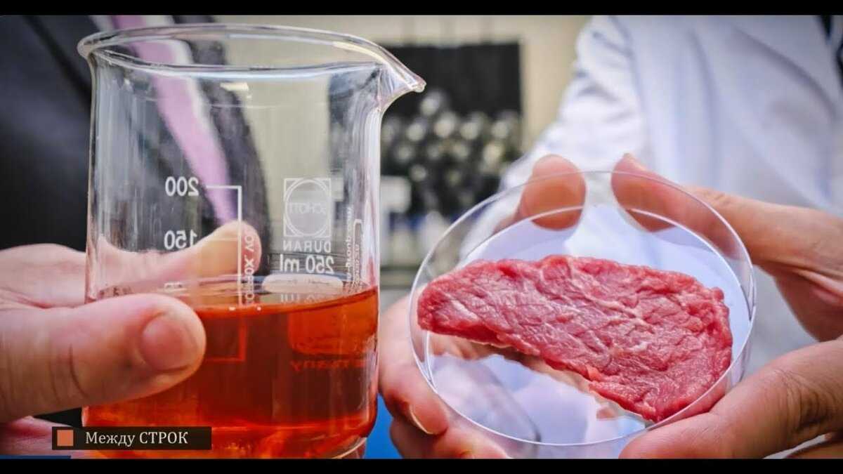 В сша открылся первый в мире завод по производству искусственного мяса