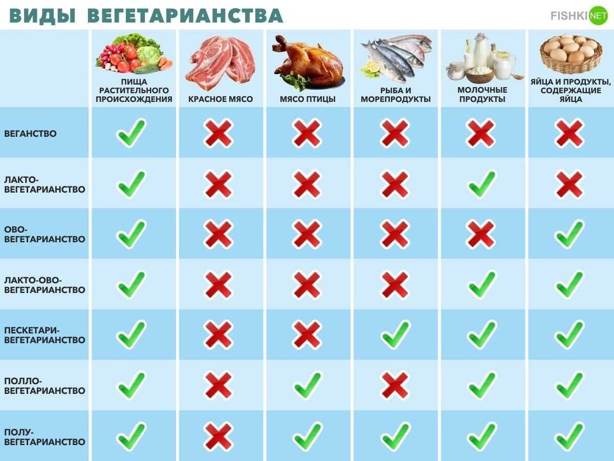 Рекомендации по сбалансированной вегетарианской диете | волшебная eда.ру