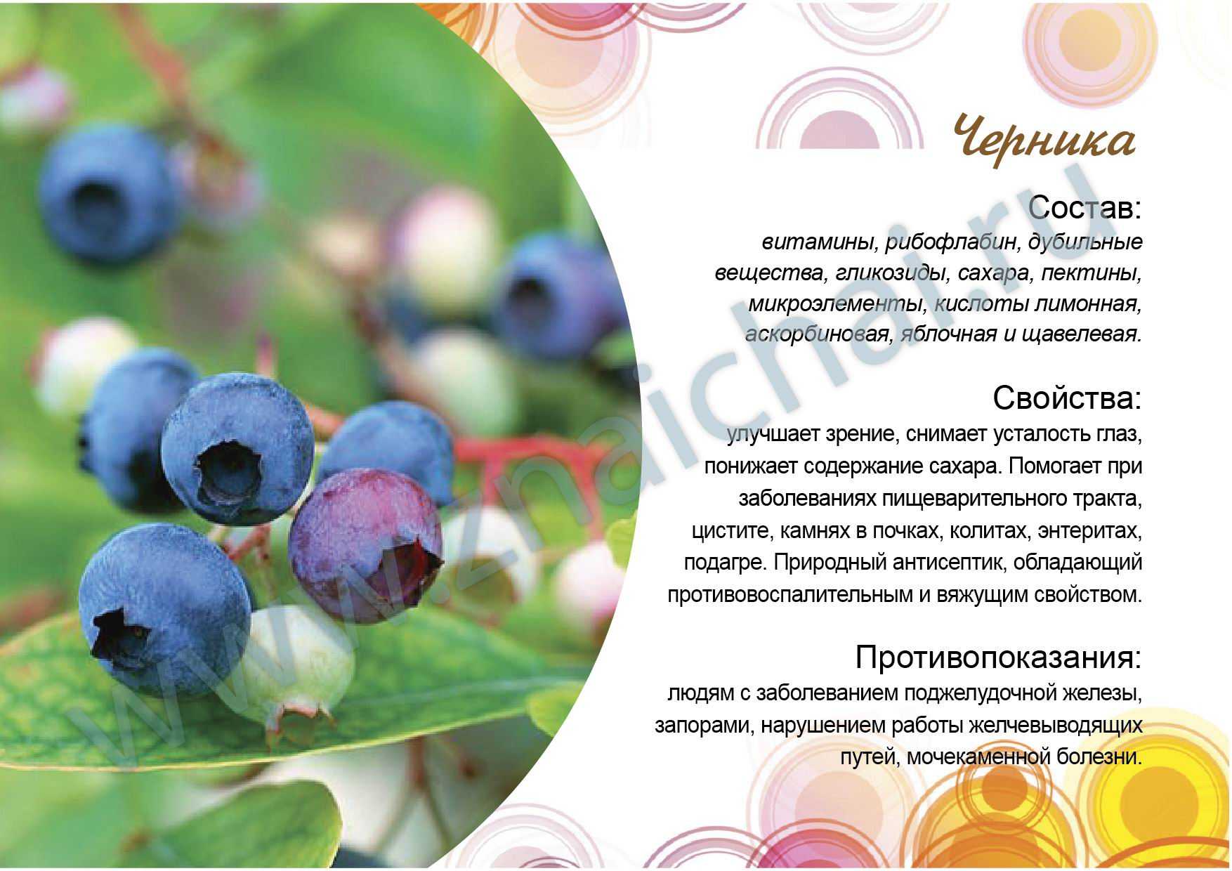 Черника – применение ягод, калорийность и состав, полезные свойства и вред на ydoo.info