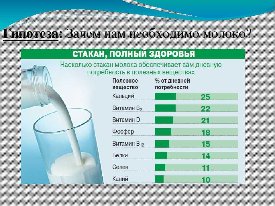 Молочные продукты: плюсы и минусы, о которых надо знать