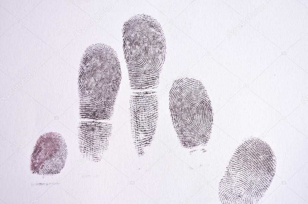 Как находят преступников по отпечаткам пальцев ревдинские полицейские