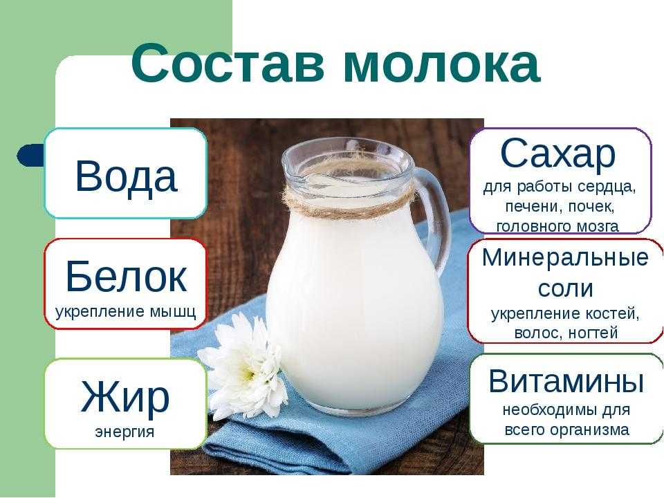 Что такое молочные продукты, какие есть разновидности? польза и вред, рекомендации по хранению