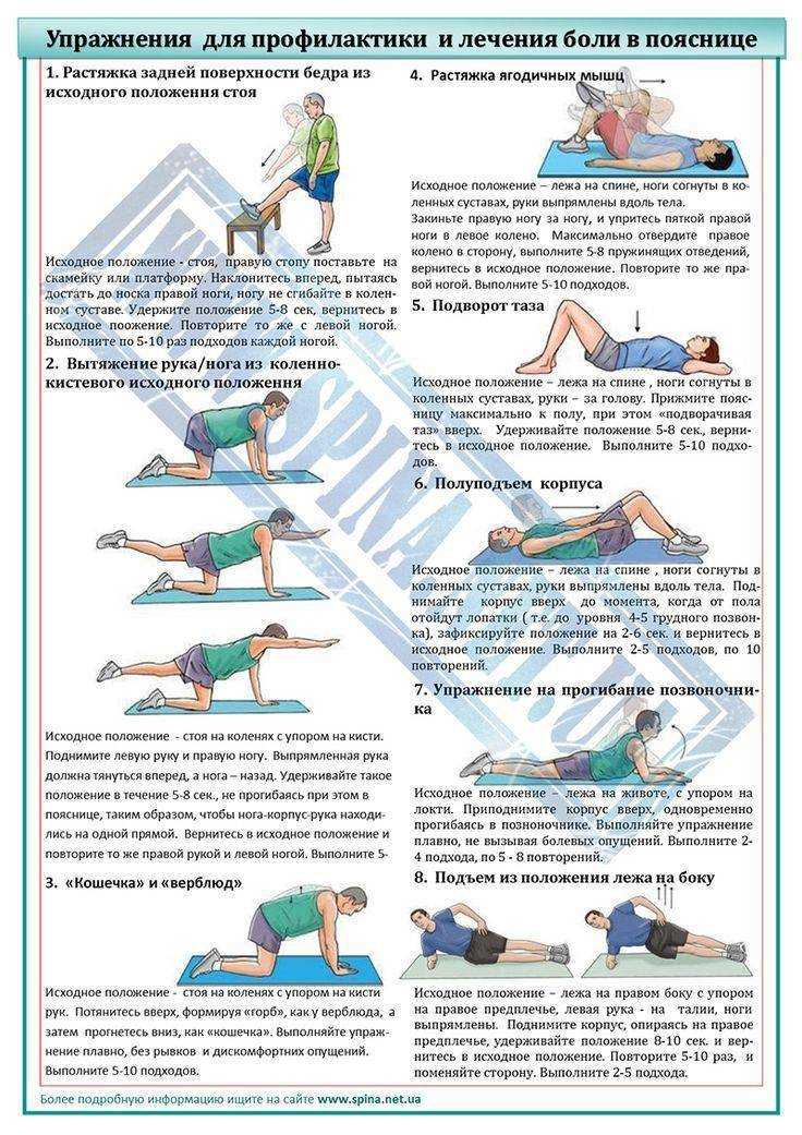 Гимнастика, лфк и комплекс лечебных упражнений при сколиозе