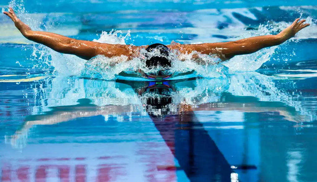 Терри лафлин: полное погружение. как плавать лучше, быстрее и легче читать онлайн бесплатно