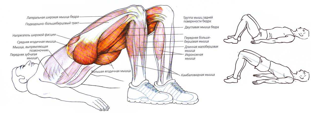 Топ-30 лучших упражнений для стройных ног + план (фото)