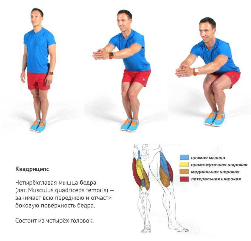 9 статических упражнений для ног, ягодиц и бедер: похудение и укрепление связок и мышц
