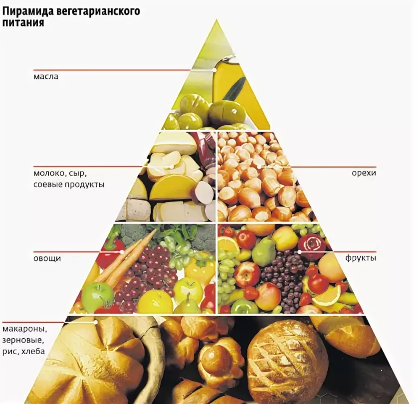 Основы полноценной вегетарианской диеты
