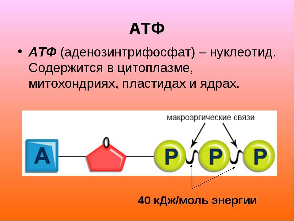 Клетка содержит атф. Строение АТФ И АДФ. АТФ это в биологии схема. АТФ И АДФ строение функции. Что такое АТФ В биологии 8 класс.