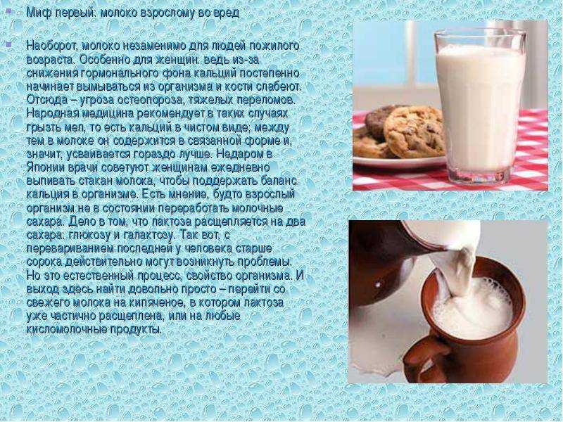Большая статья ученых из гарварда о молоке
