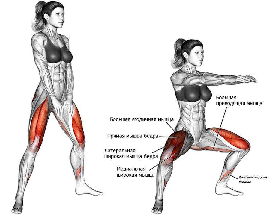Растяжение мышц передней поверхности бедра: упражнения и позы йоги