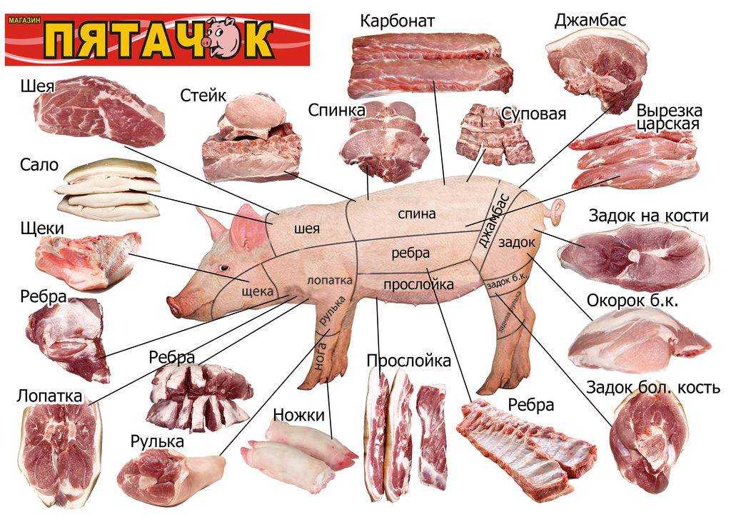 Стейк из свинины: выбор мяса, варианты и особенности приготовления