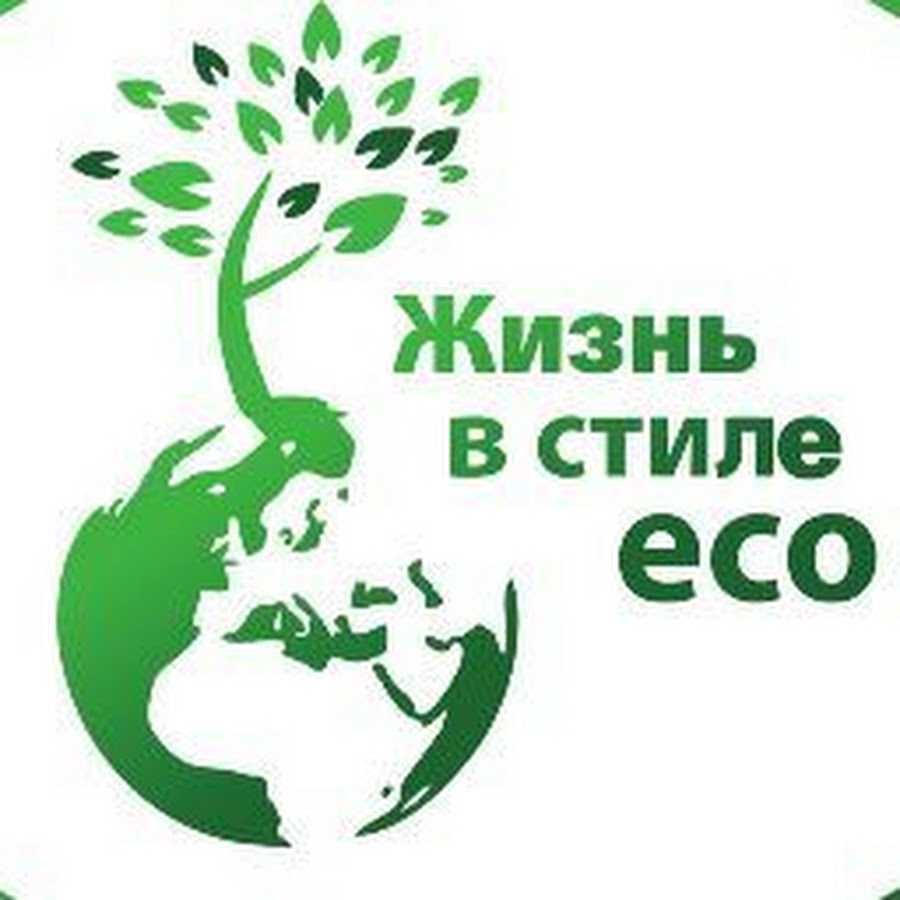 Час земли: 5 экологичных привычек от greenpeace | фоксфорд.медиа - фоксфорд.медиа