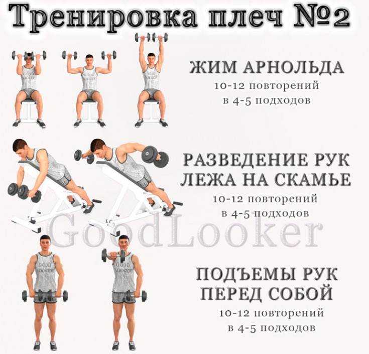 Упражнения с гантелями в домашних условиях: самые эффективные комплексы