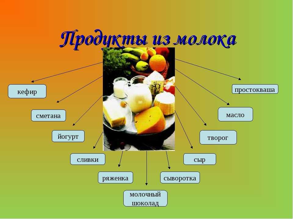Молоко и молочные продукты. польза молочных продуктов :: syl.ru
