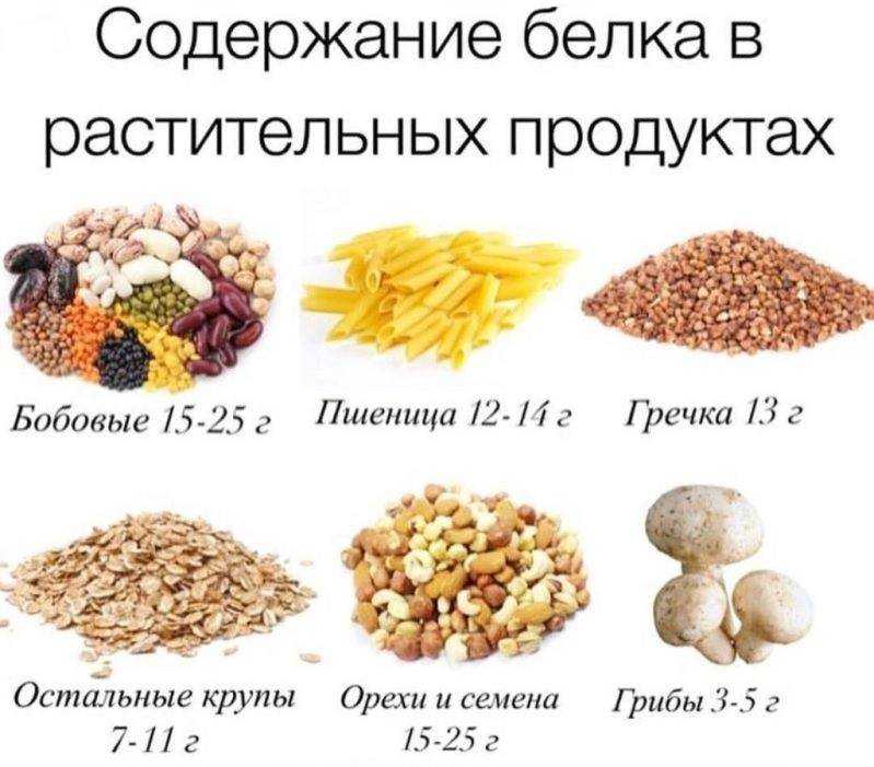 Зачем в рационе белок / сколько есть и может ли он навредить – статья из рубрики "здоровая еда" на food.ru