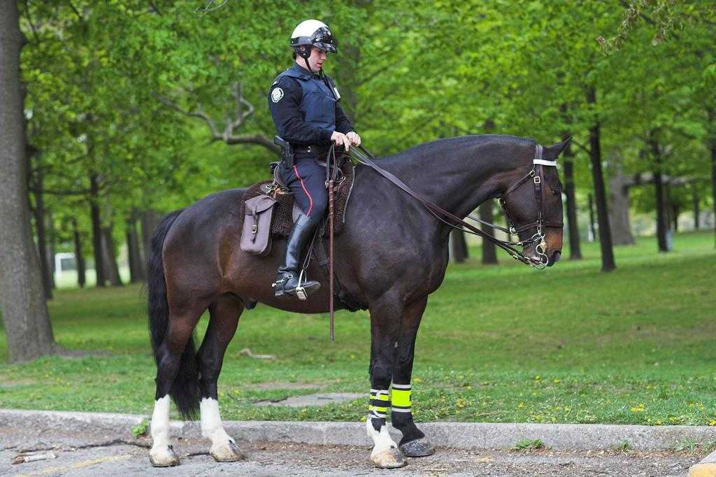 В форме на коне. Конная полиция России. Конная полиция в Москве. Конный полицейский. Лошади в конной полиции.