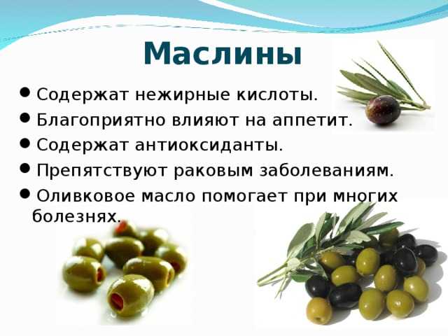 Польза и вред оливок и маслин - портал обучения и саморазвития