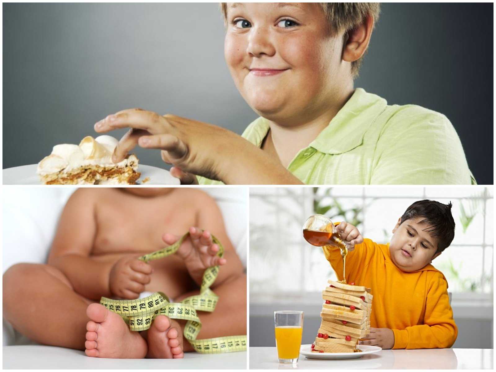 Принципы питания для снижения веса - основные, правильное питание