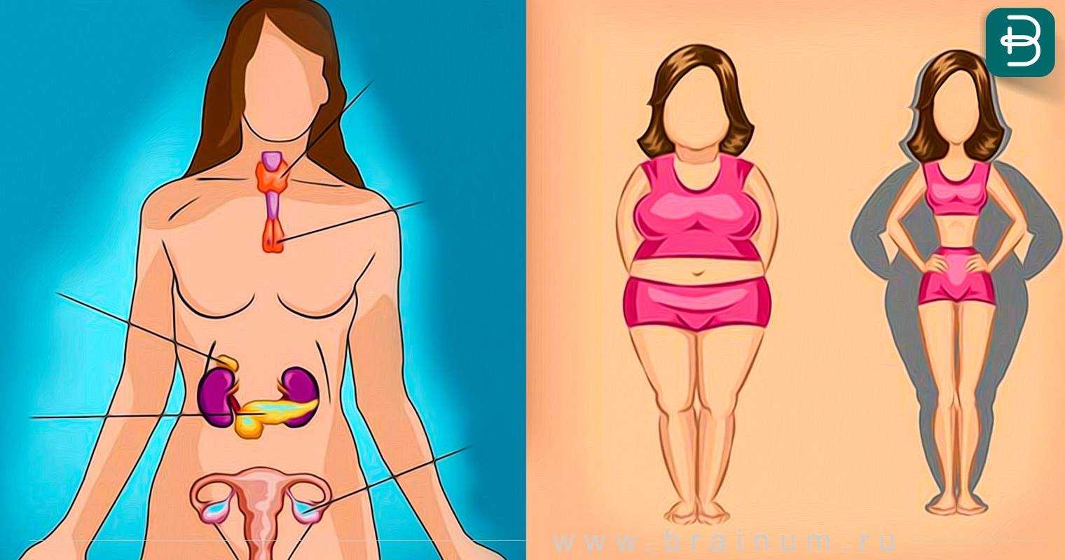 Как понять, что ты поправляешься. 10 признаков того, что ты мыслишь, как толстуха