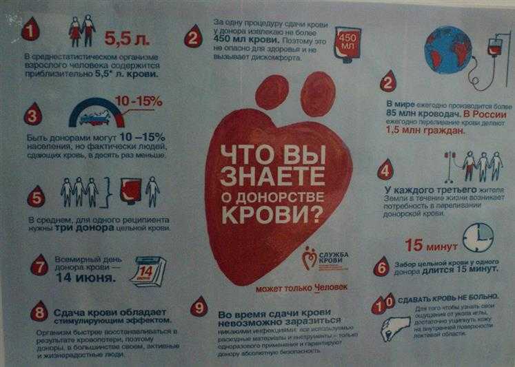Поделиться здоровьем: путь донорской крови - vtomske.ru