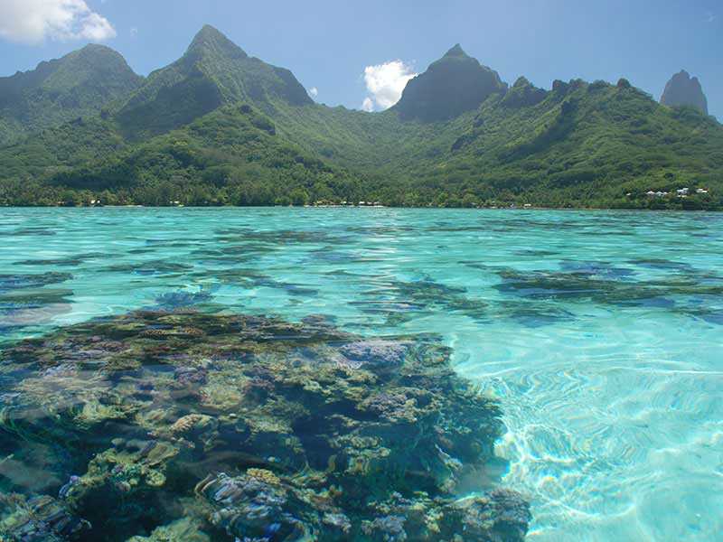 Французская полинезия - о стране | болеро тур