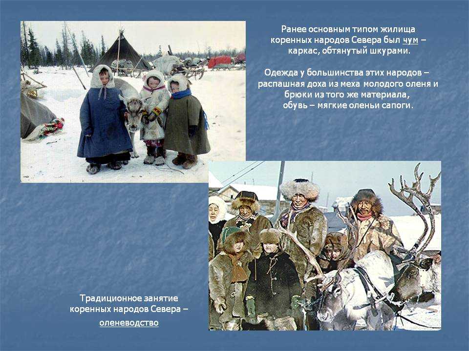 Какой народ россия самый северный. Традиционные занятия народов севера. Коренной народ тундры. Традиционные занятия ненцев. Народы крайнего севера.