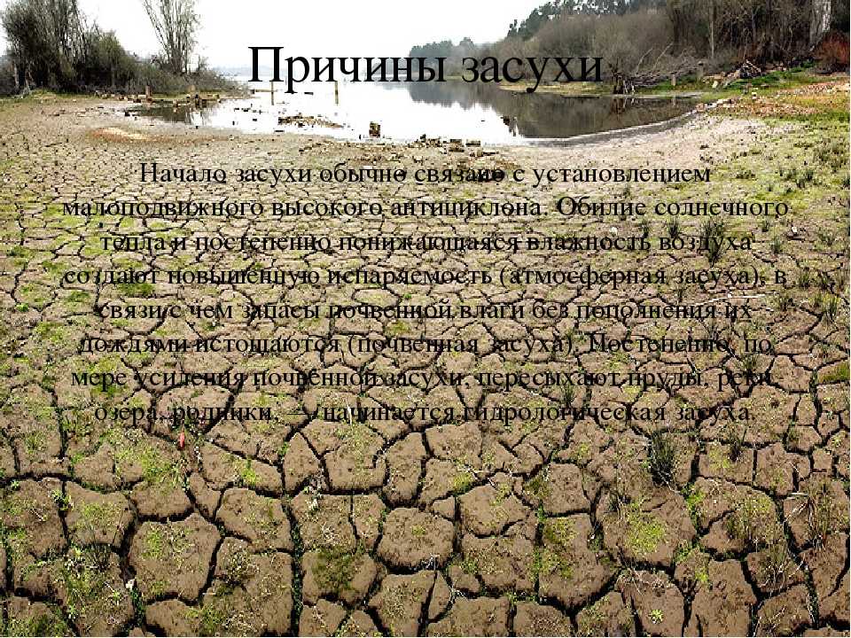 Причины засухи. Причины засухи в России. Причины засухи на территории России. Методы борьбы с засухой.