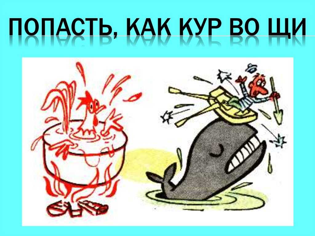 Речевой ликбез: устойчивые выражения, которые ты произносишь неправильно | brodude.ru