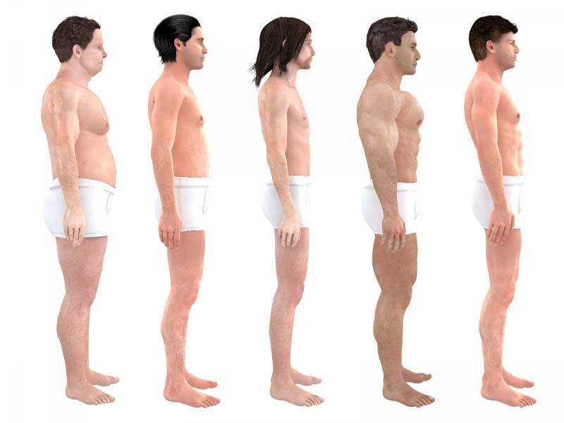 Идеальные пропорции мужского тела