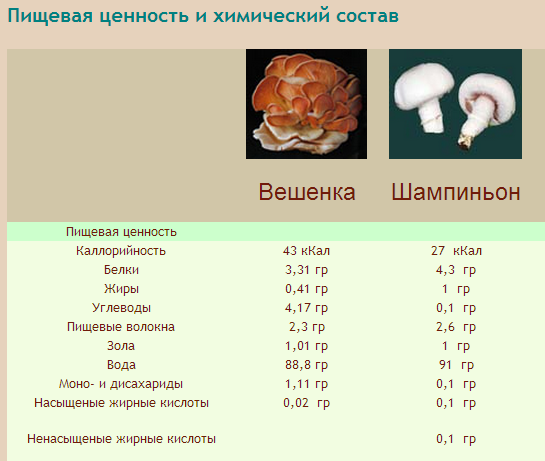Грибы килокалории. Пищевая ценность грибов шампиньонов. Содержание белка в шампиньонах. Содержание белка в грибах. Витамины шампиньоны грибы.
