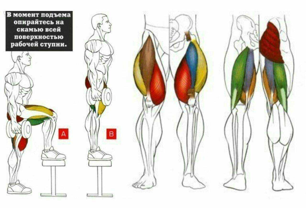 Как накачать мышцы на внутренней стороне бедер?
