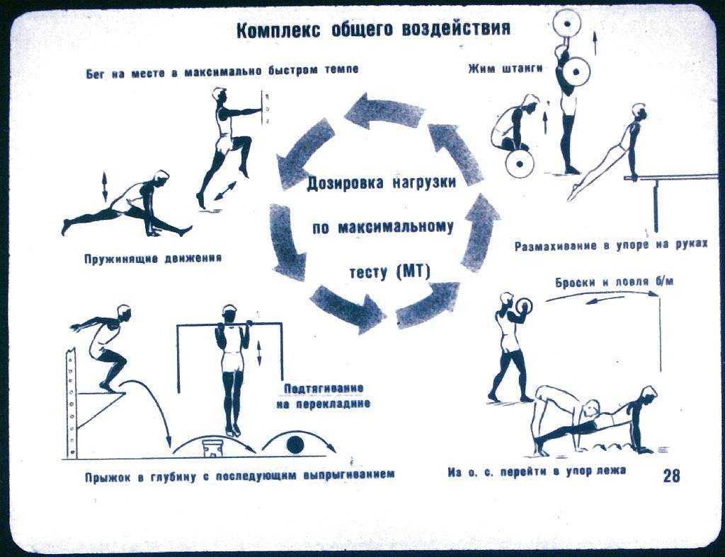 Белояр гимнастика: упражнения и отзывы