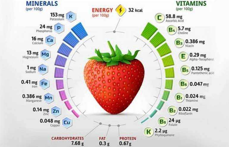 Калорийность фруктов таблица на 100 грамм